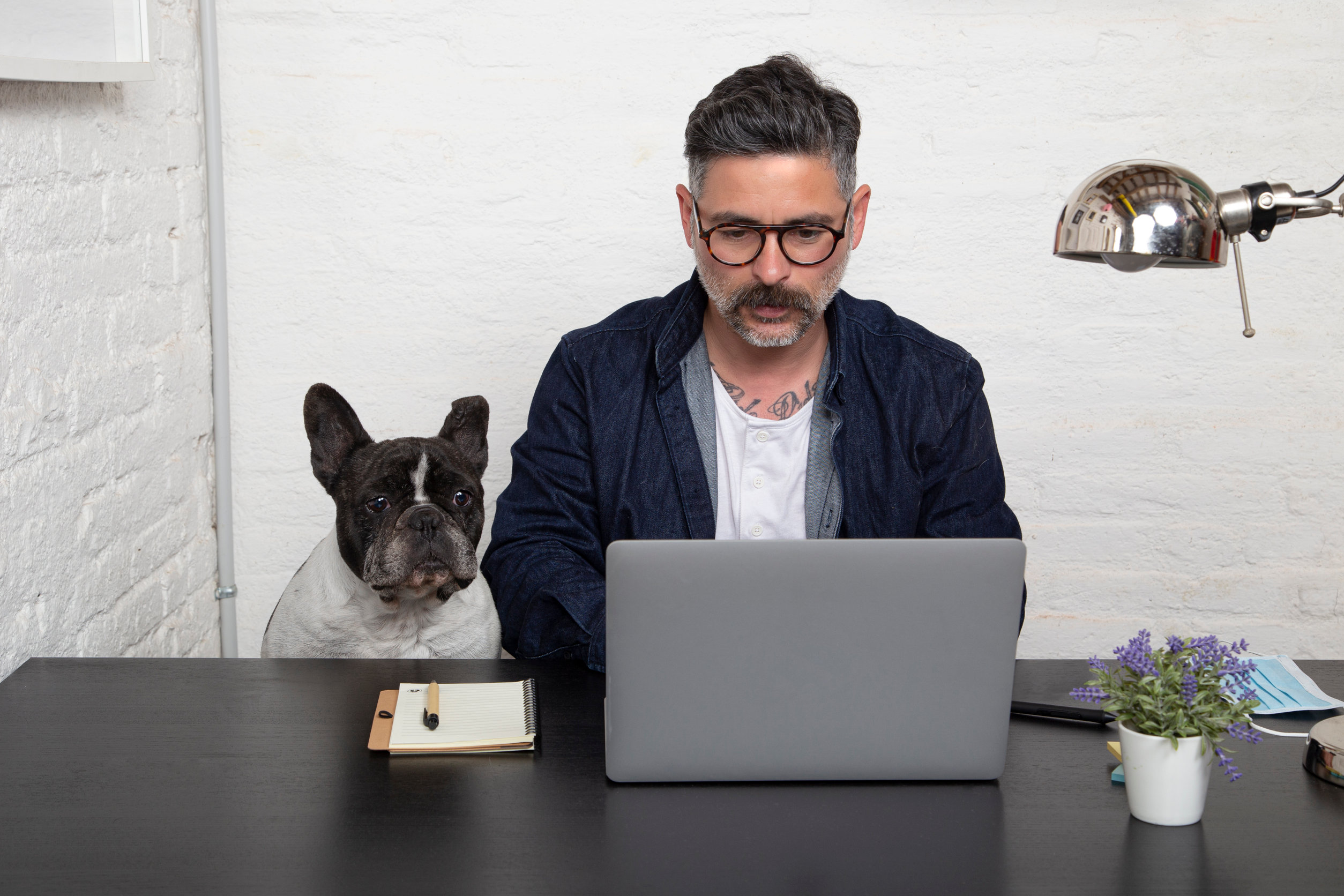 8 consejos para evitar que tu mascota interrumpa tu trabajo