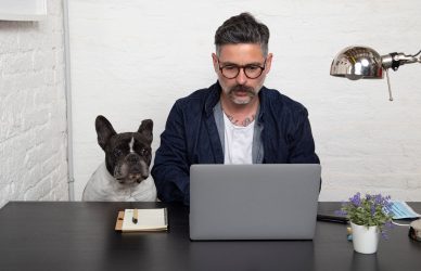 8 consejos para evitar que tu mascota interrumpa tu trabajo
