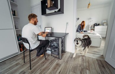 Cómo evitar que tu perro ladre durante una videollamada
