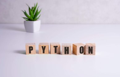 7 cosas que necesitas para aprender Python